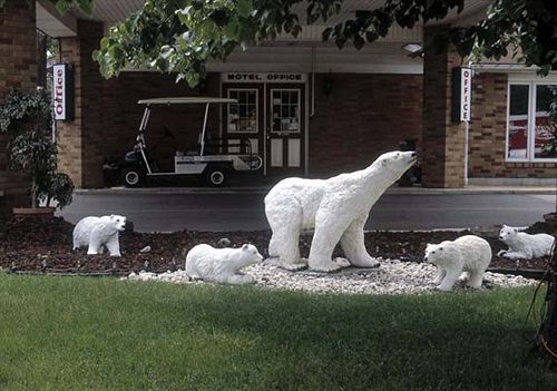 Ivy Rose Motor Inn Windsor Exterior photo